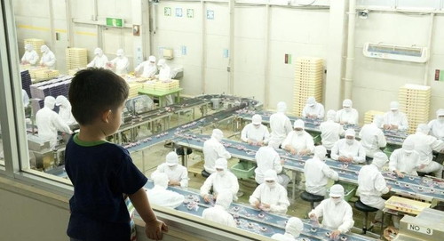 키쿄우야 공장 견학