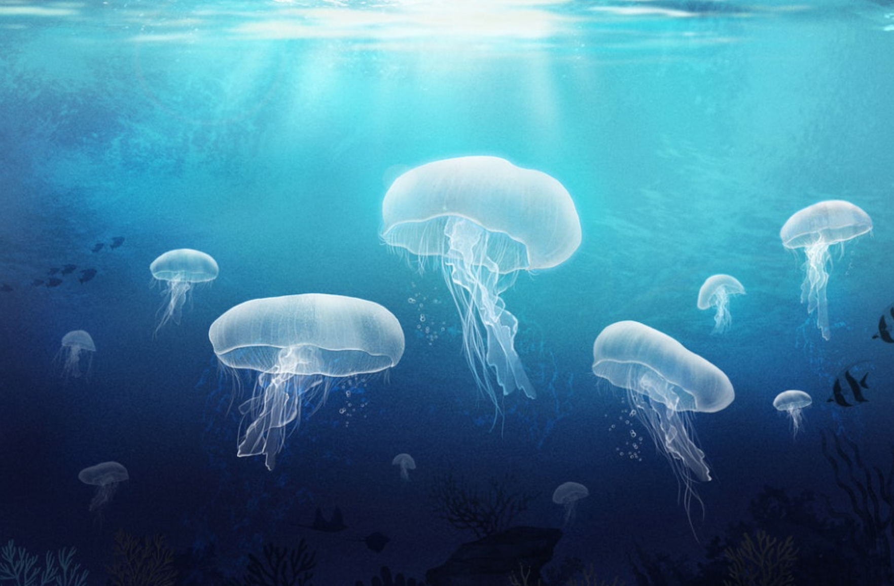 해파리 쏘였을 때