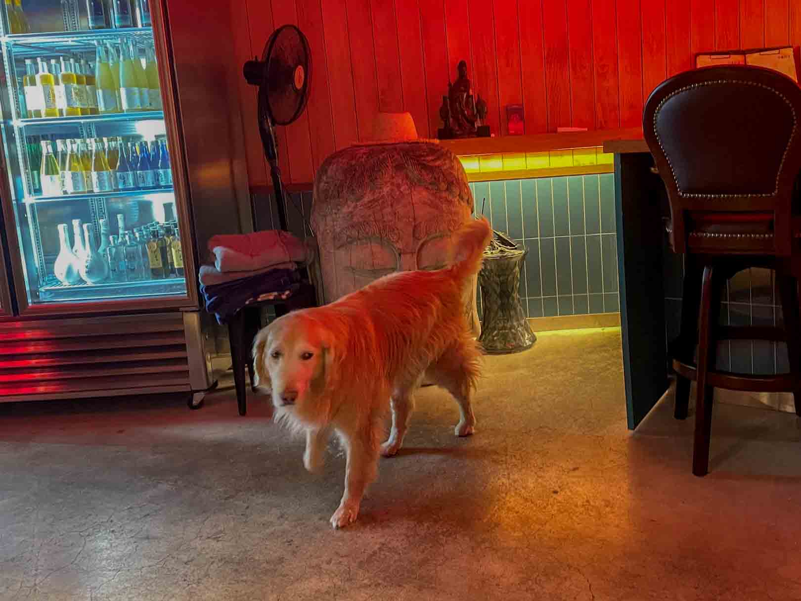 수원 화성 술집 팔딱산