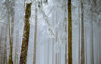청와대 관람신청 한번에 해결 19