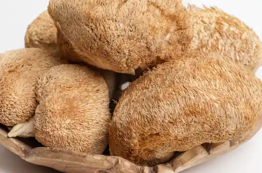 노루궁뎅이버섯 효능 및 영양성분