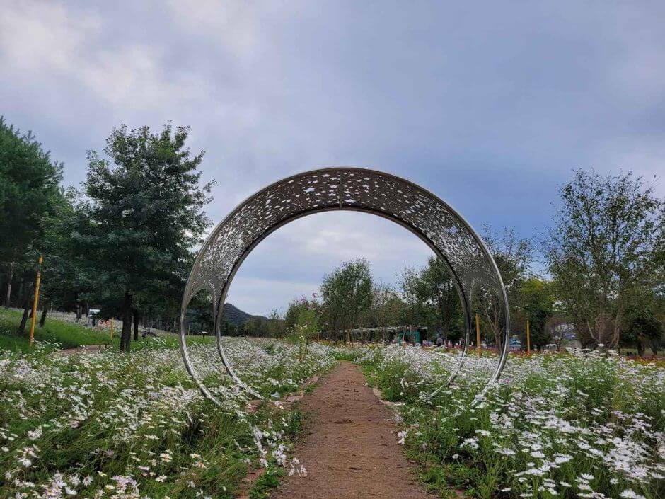 자라섬꽃페스타 2025 일정 및 프로그램, 입장권 구매방법, 주차, 할인혜택 정보