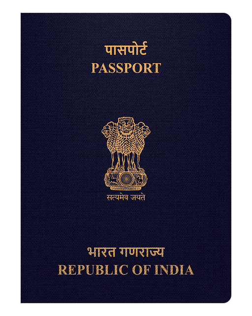 여권 온라인 발급 vs 오프라인 방문 발급