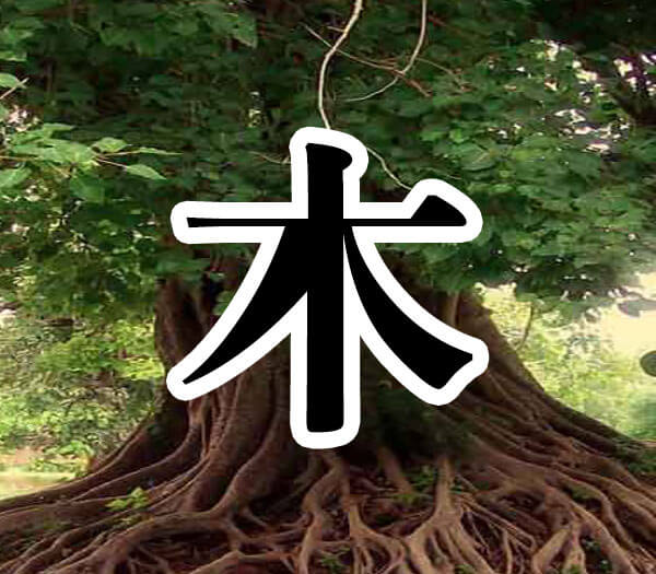 나무위의 목