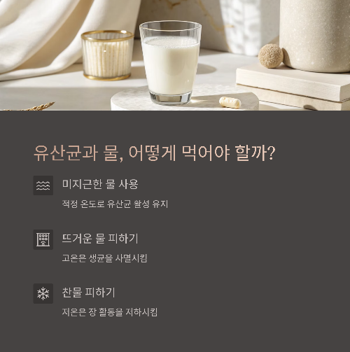 장 건강을 지키는 첫걸음, 유산균 제대로 먹는 법