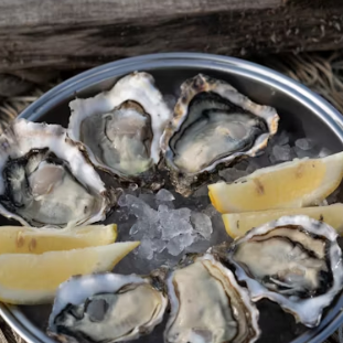 굴 효능 부작용 칼로리