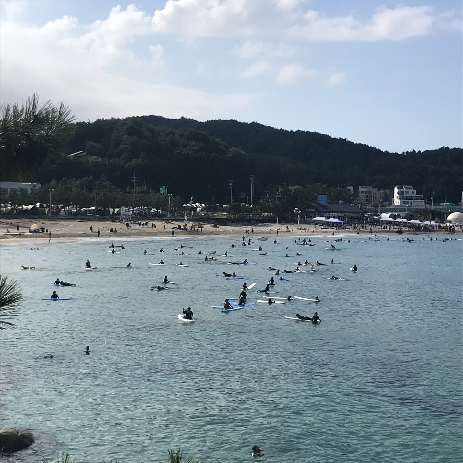 죽도해변 서퍼들