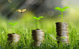 환경과 경제의 상호작용을 통한 지속 가능 성장