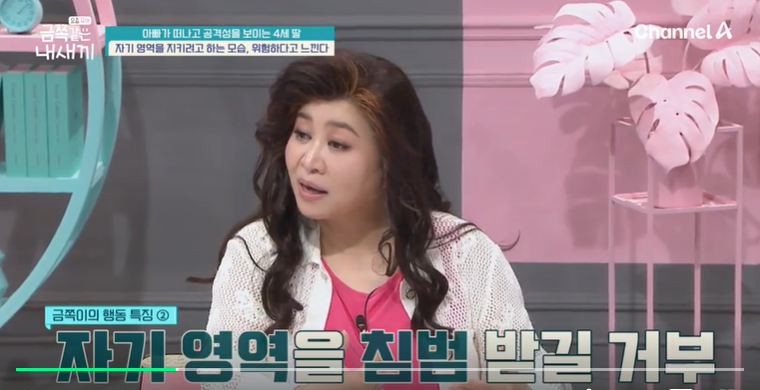 금쪽같은-내새끼-201회