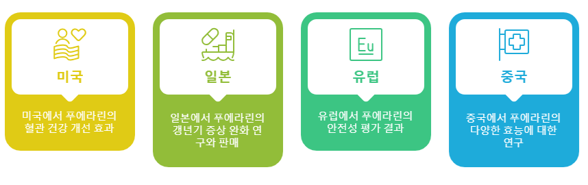 푸에라린 연구