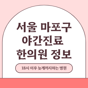 서울 마포구 야간진료 한의원 병원 (18시 이후 늦게까지하는 병원)