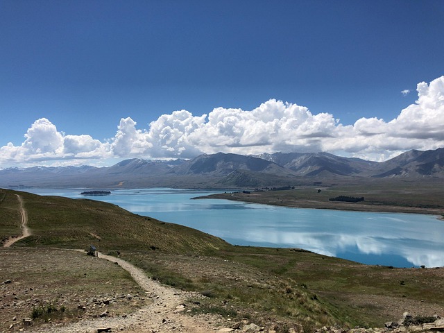 수하물 지연&middot;분실 보상 받는 법 총정리｜항공사 보상 vs 여행자 보험 차이