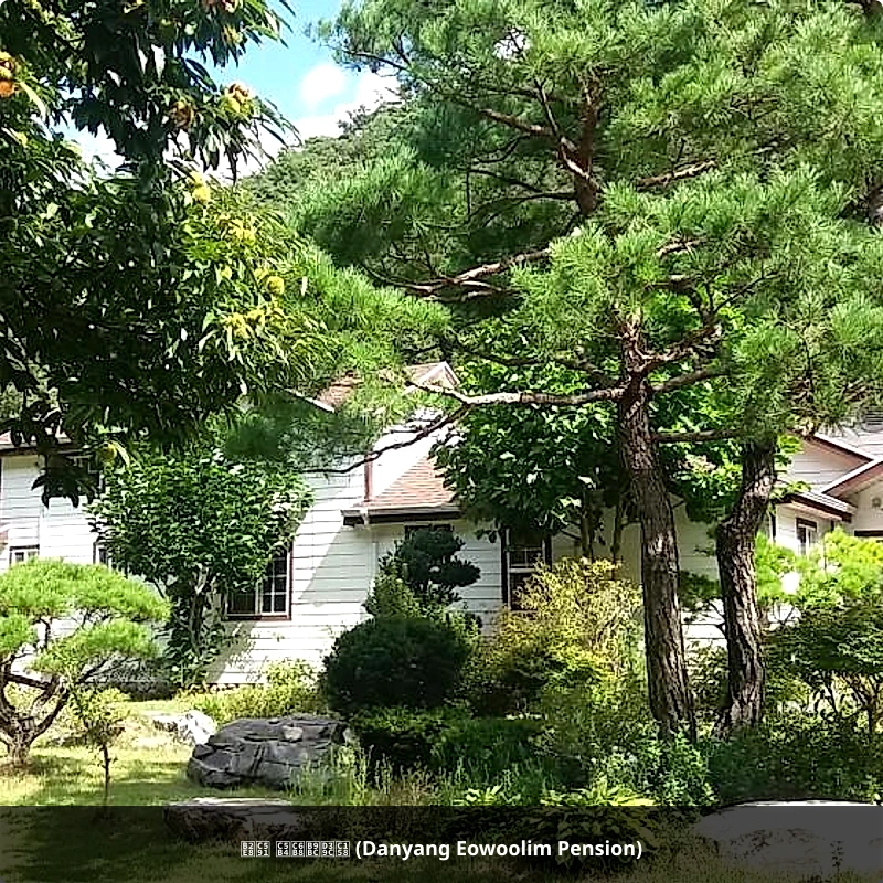단양 어울림펜션 (Danyang Eowoolim Pension)_5