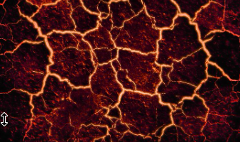 타츠키 료의 일본 대지진