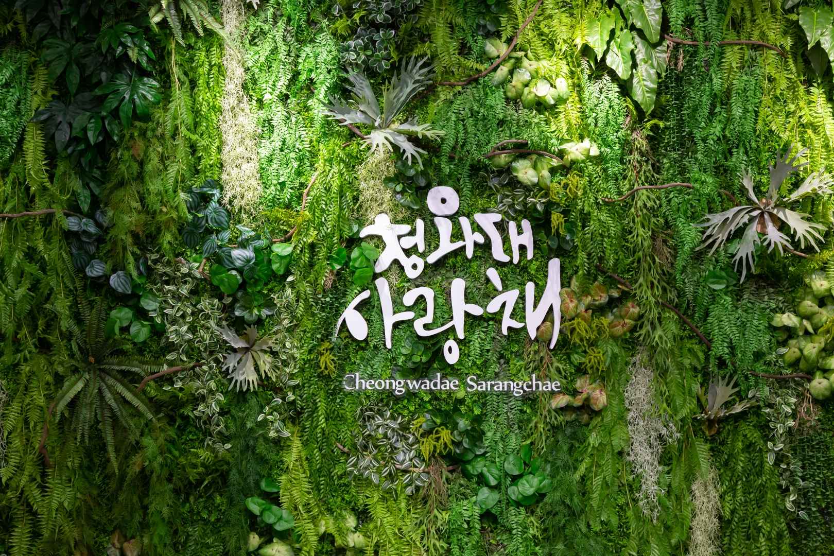 청와대 관람 예약 