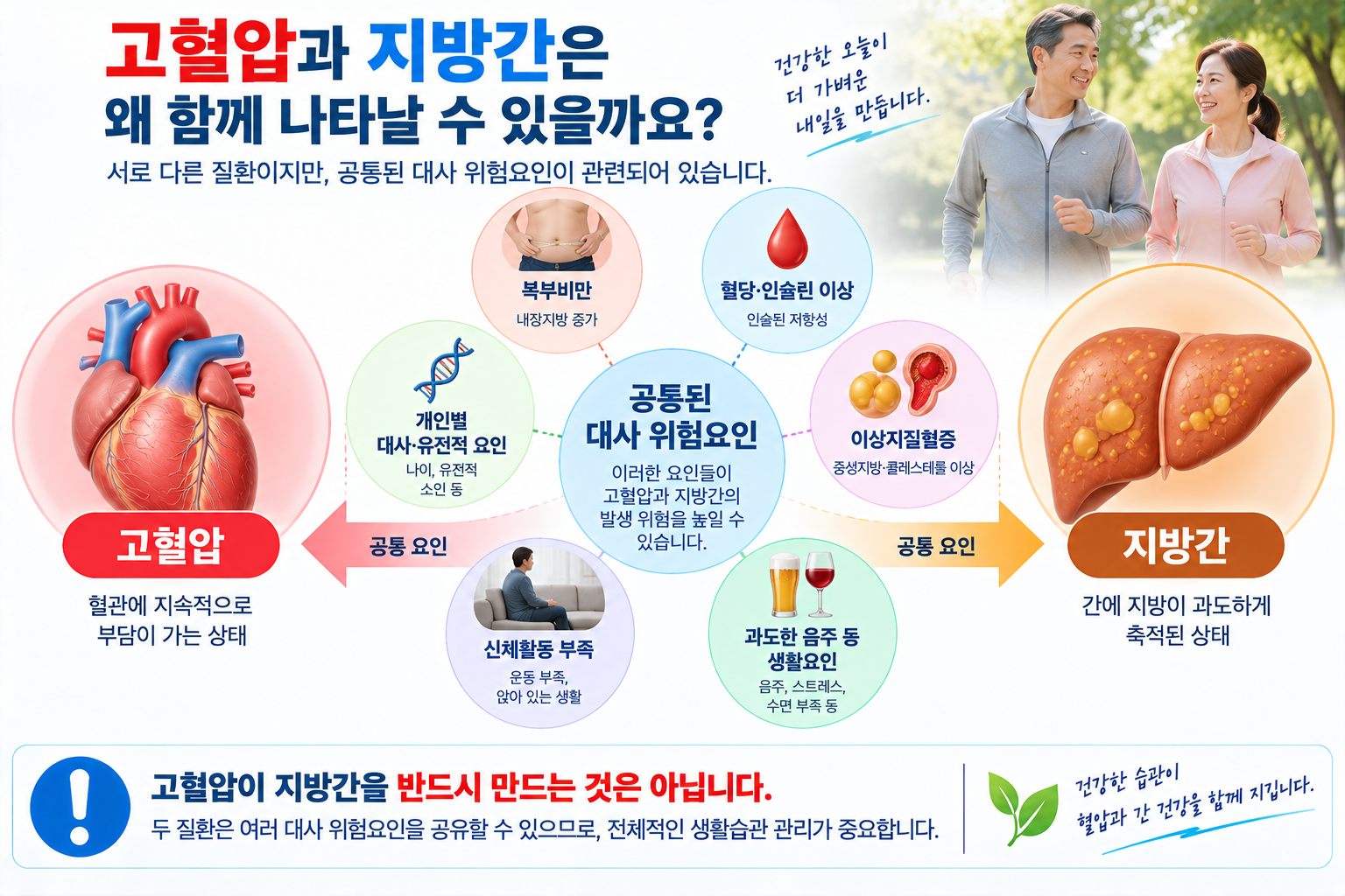 고혈압과 지방간이 공통 대사 위험요인과 관련될 수 있음을 설명한 개념 그림