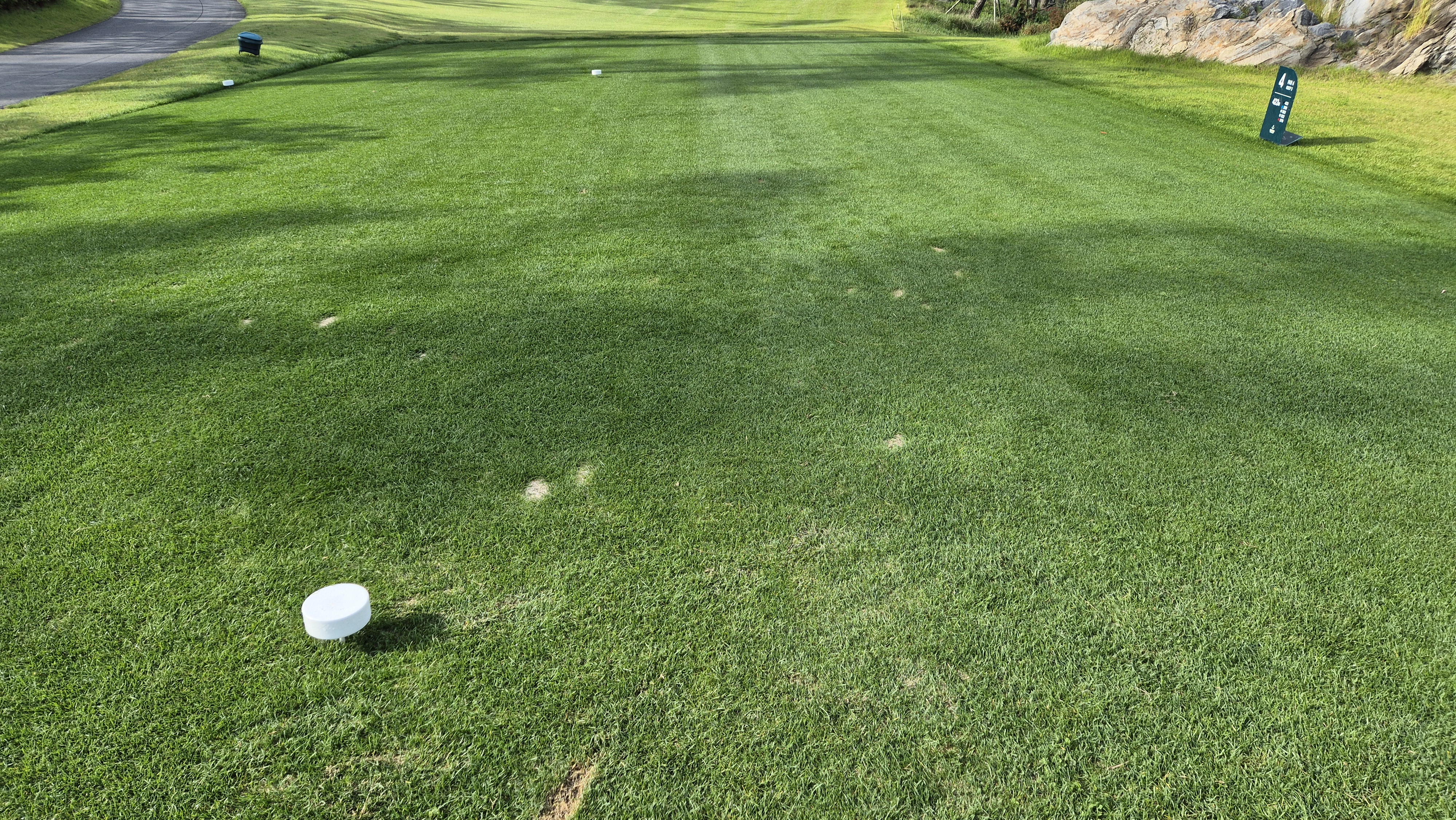 오로라cc 티잉구역 상태