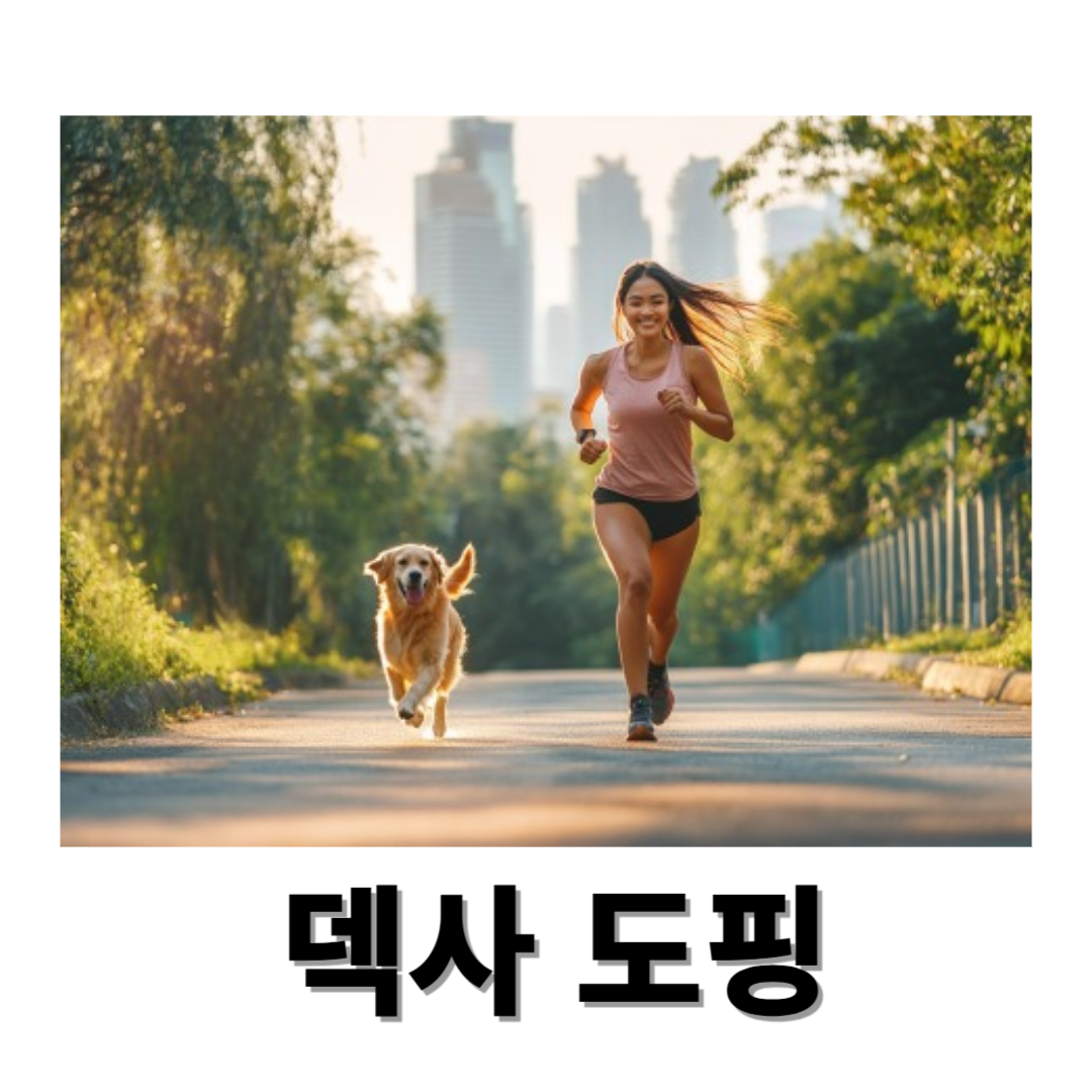 덱사와 관련된 사진입니다.