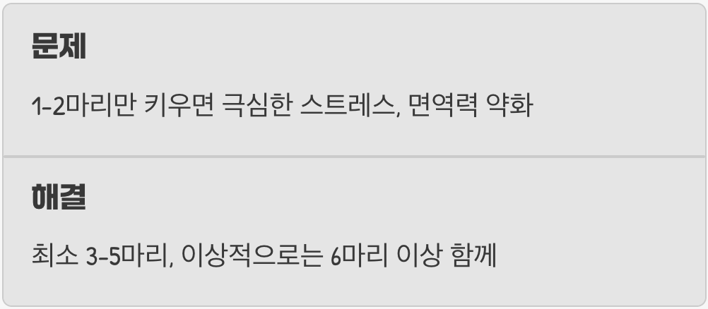 3. 외로움은 코리의 가장 큰 적