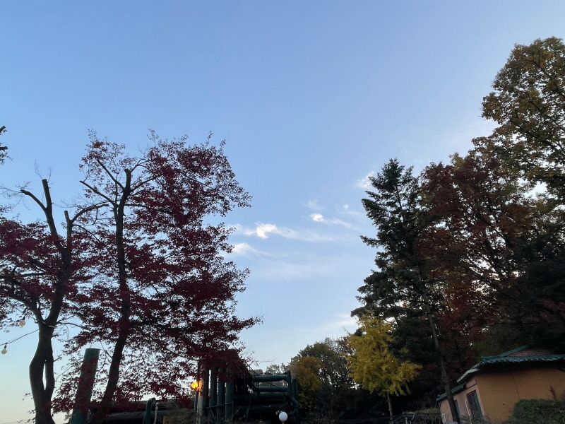 ํ์ด๊ทธ๋ผ์ด๋ ์ ๋นต์