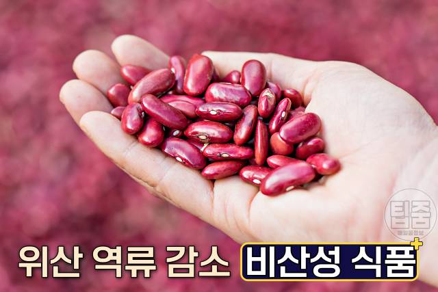 위염에 좋은 음식 강낭콩 위염음식