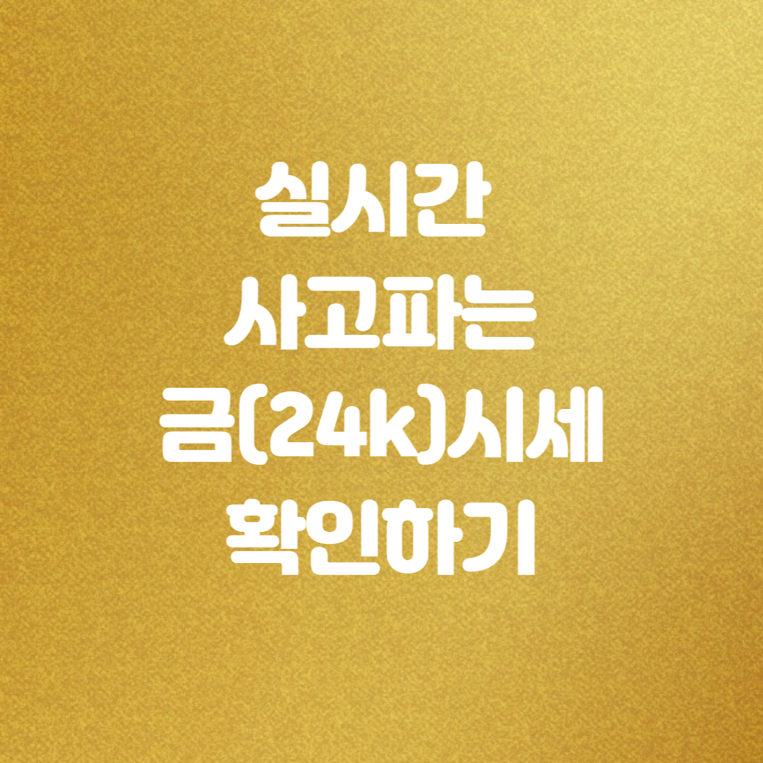 금시세 금상속세