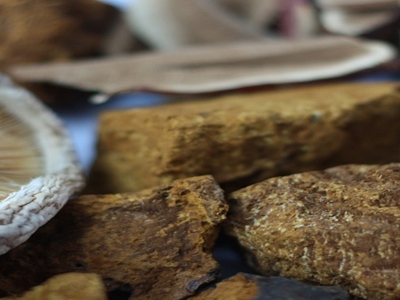 표고버섯 효능 사진5