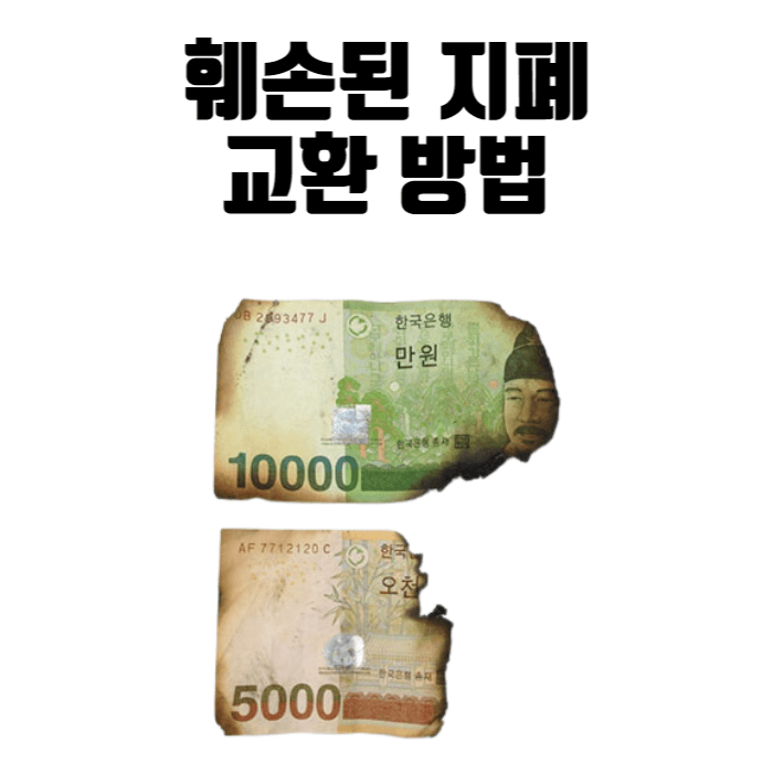 훼손된 지폐 교환 방법