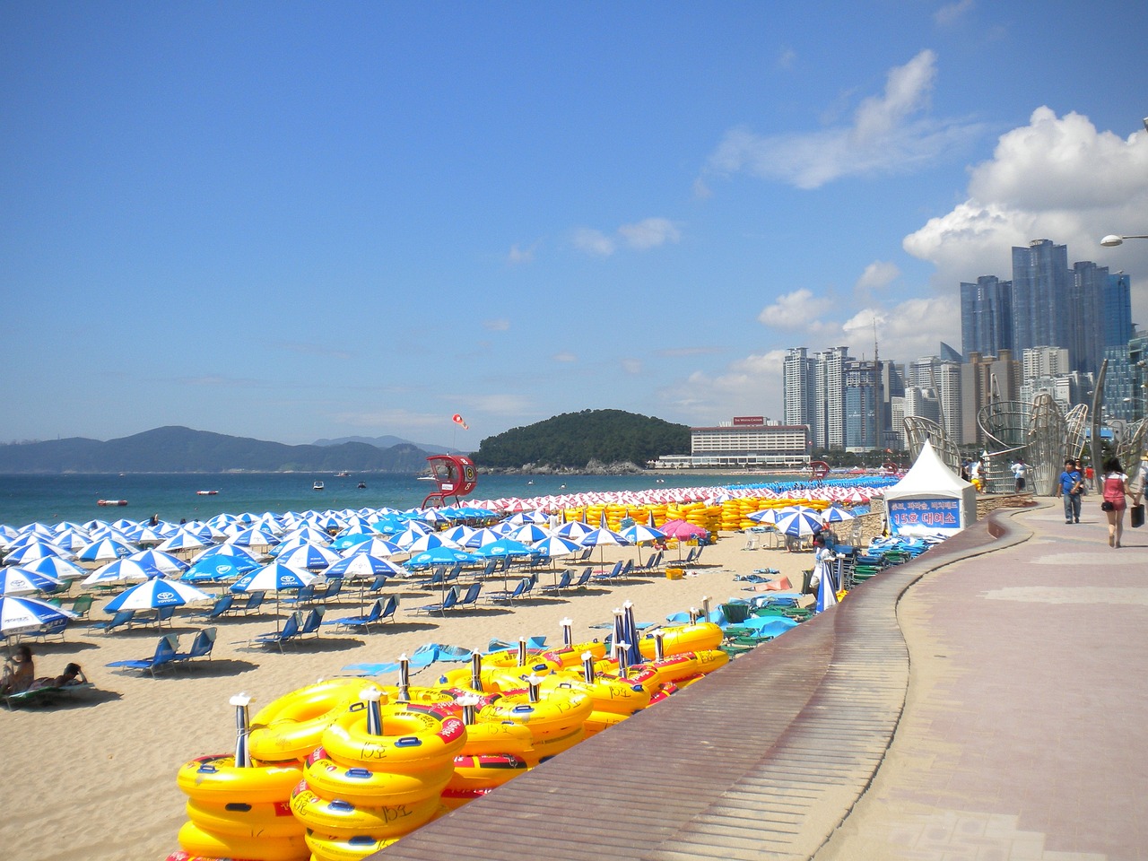 전국 해수욕장 개장일