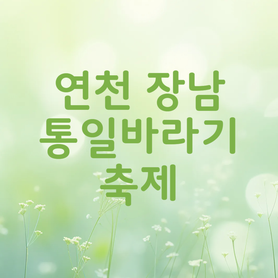 연천 호로고루 해바라기 통일바라기 축제