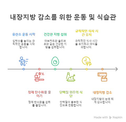 내장 지방 감소를 위한 습관