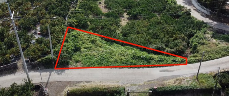 제주도 전원주택부지 땅값 - 한림읍 상대리, 한경면 고산리, 조천읍 함덕리, 서귀포시 대포동