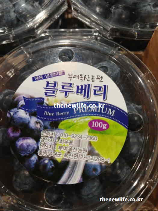 블루베리 효능 세척법 껍질