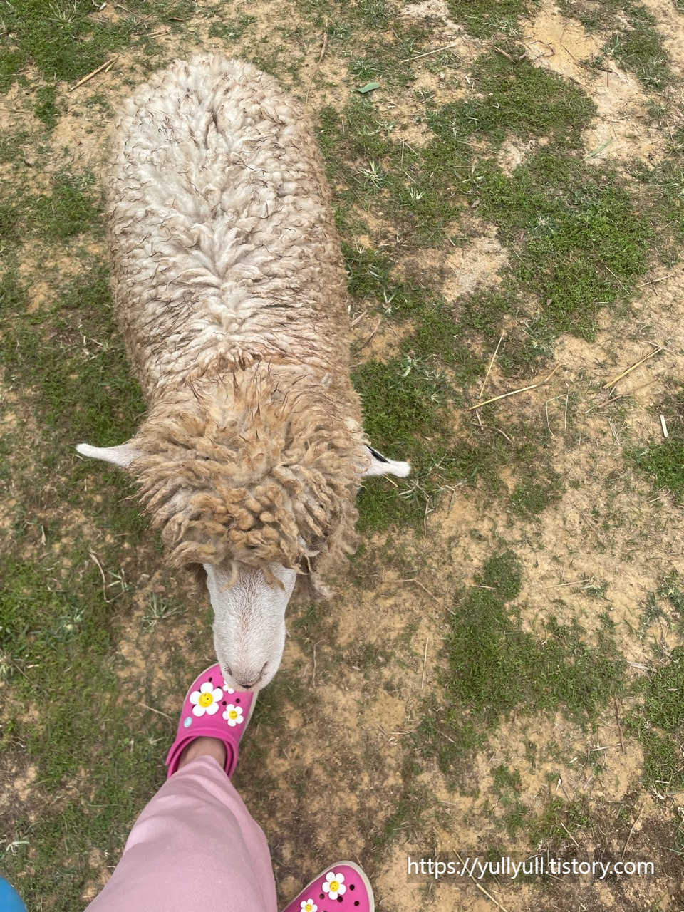 ㅁㅁ