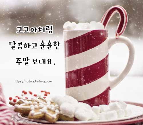 겨울엔 코코a지!