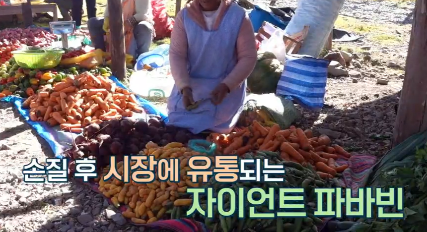 파바빈이란
