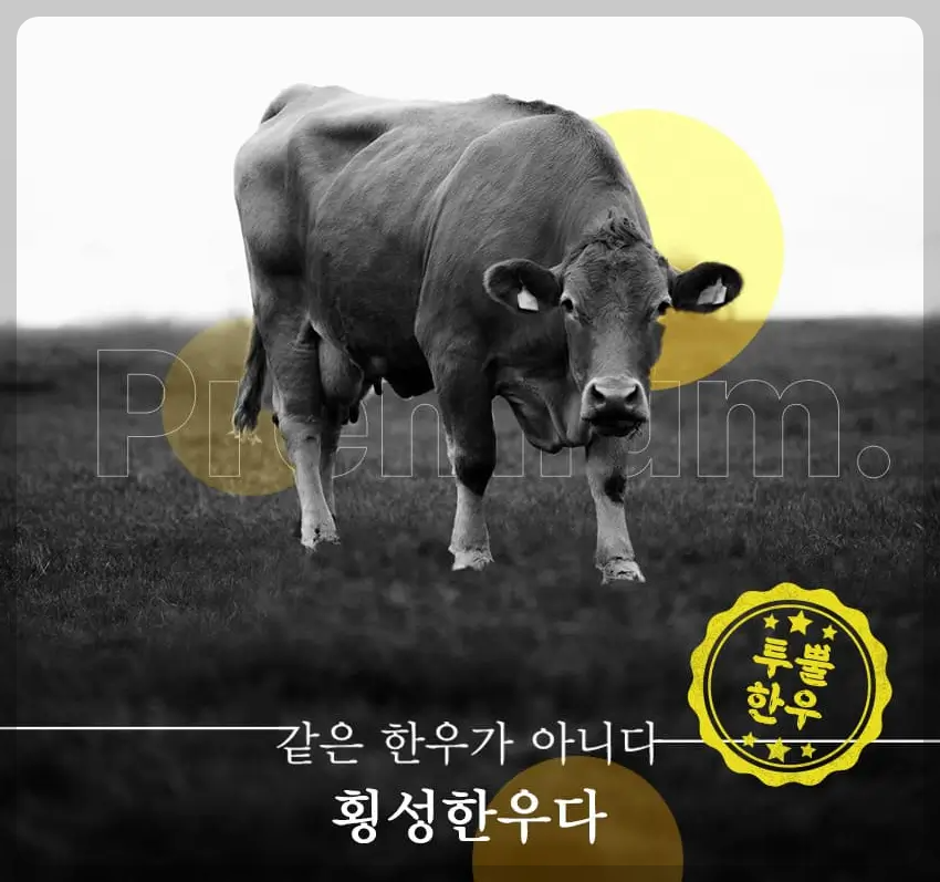 횡성한우