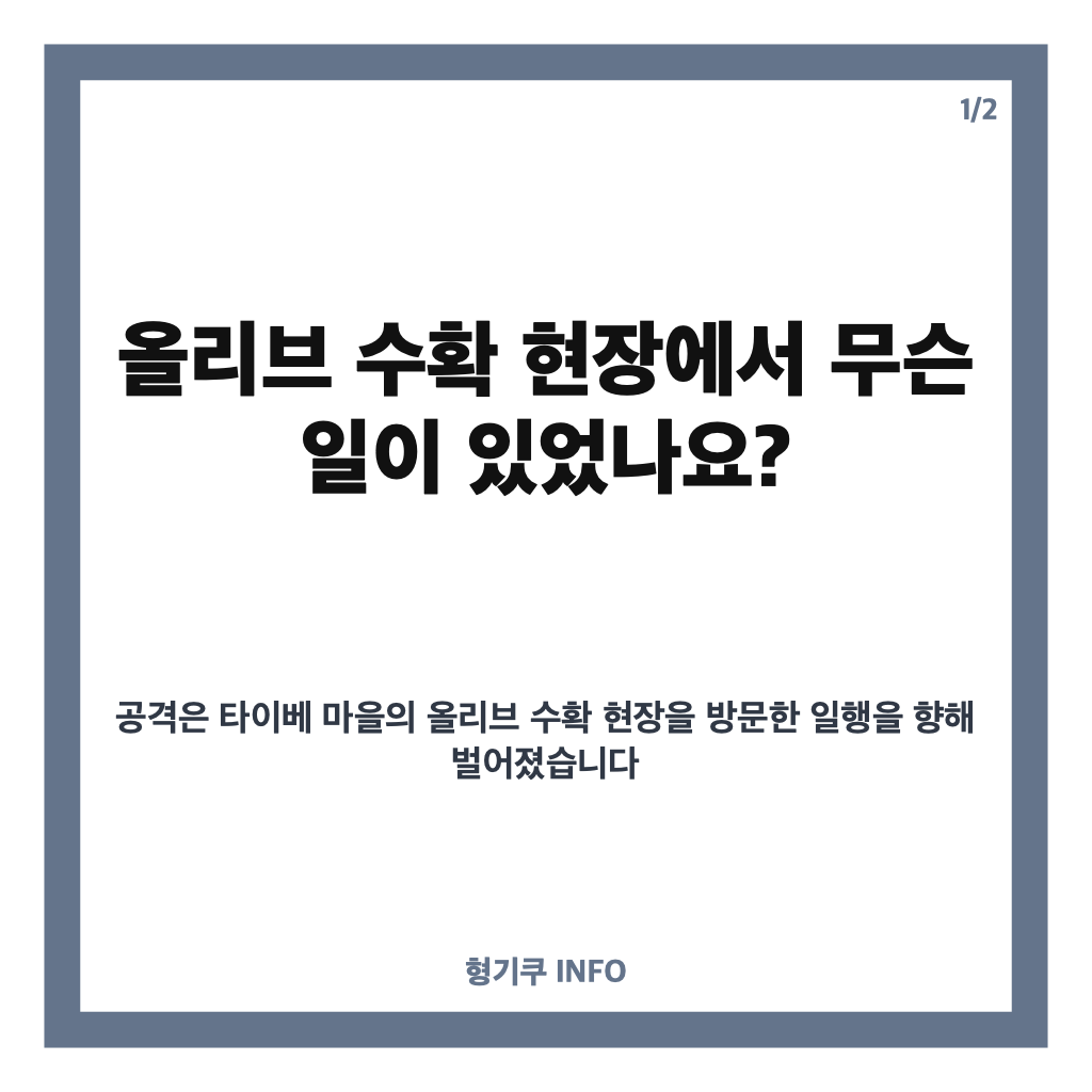 서안 유럽 외교관 공격, 올리브 수확 현장에서 무슨 일이 있었나 카드뉴스 1