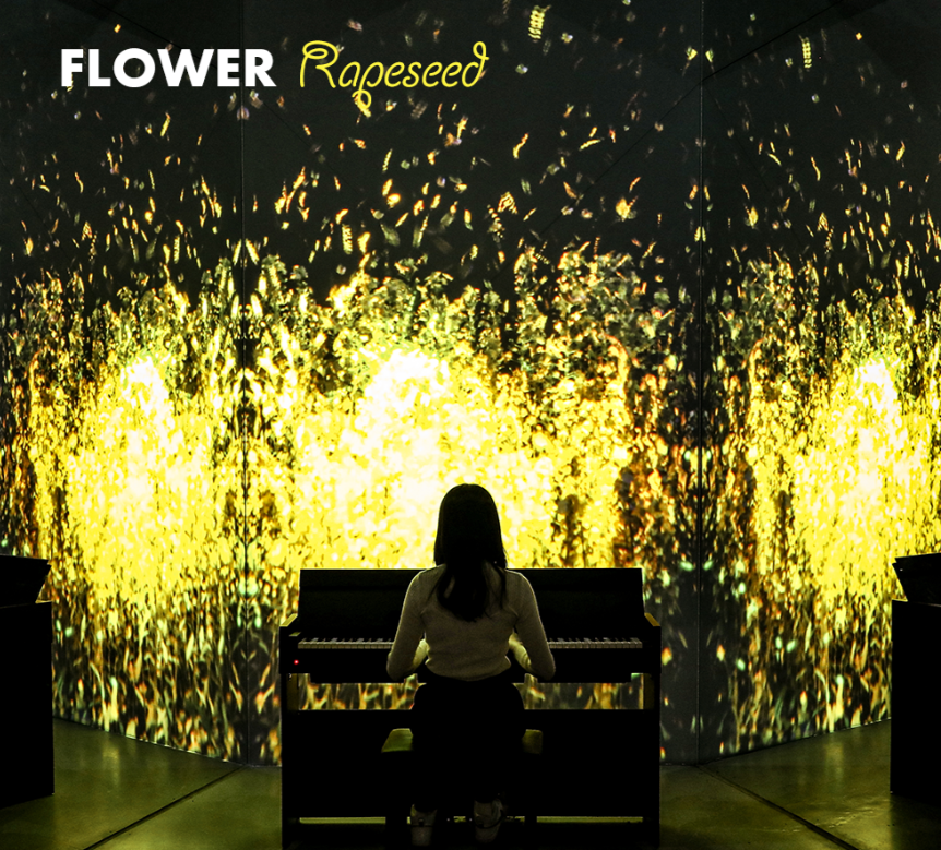 제주도 가볼만한 곳 추천