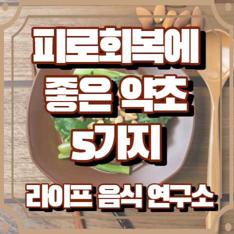 피로회복에 좋은 약초 5가지
