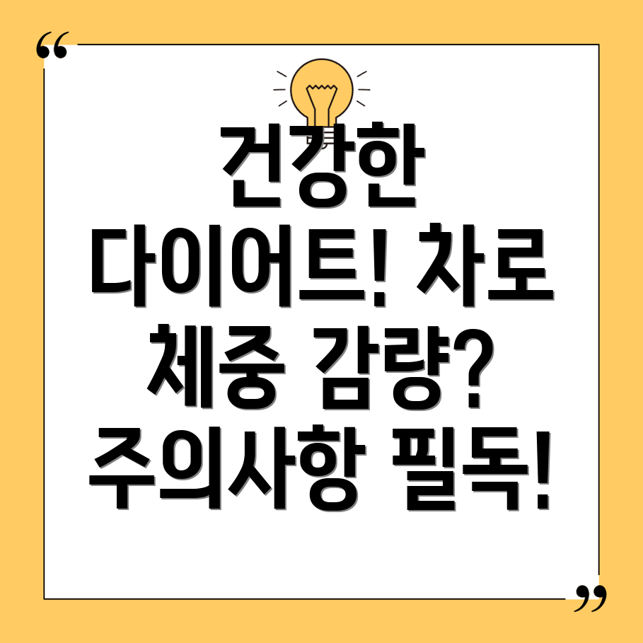 다이어트 차
