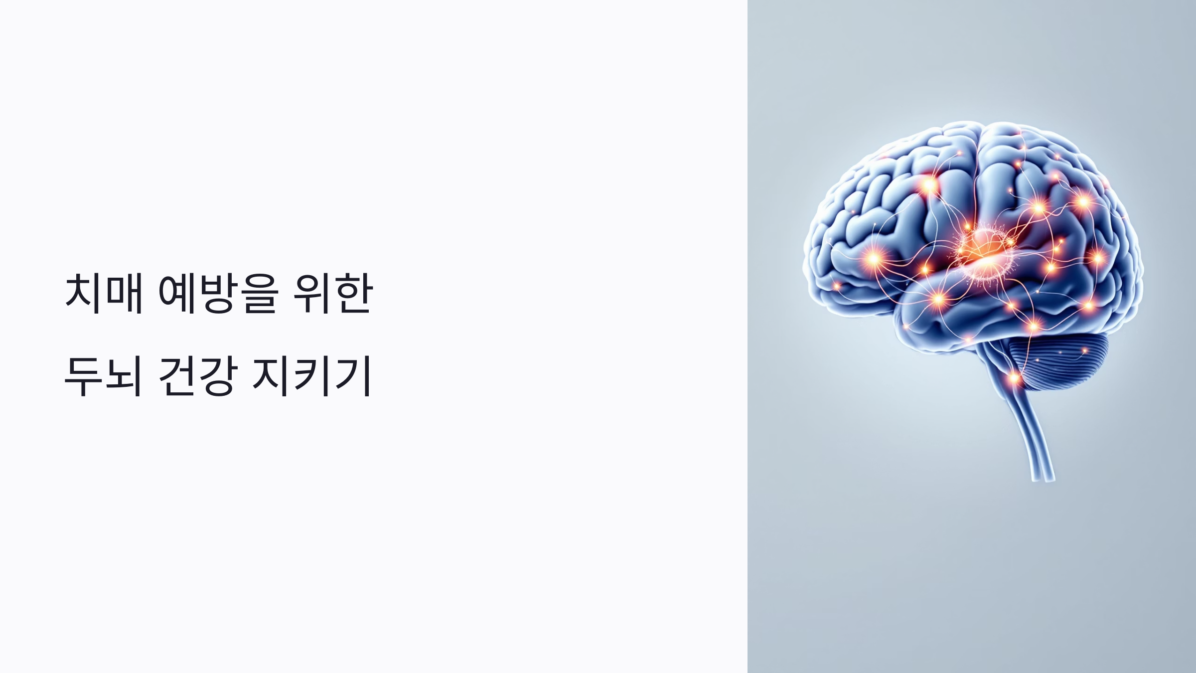 치매 예방을 위한 두뇌 건강 지키기 6단계 실천법 (2025 최신 가이드)