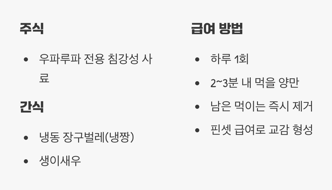 육식동물의 식사 시간 (먹이 가이드)