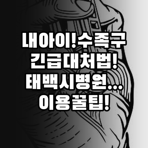 아이 수족구 대처법과 태백시 병원 이..
