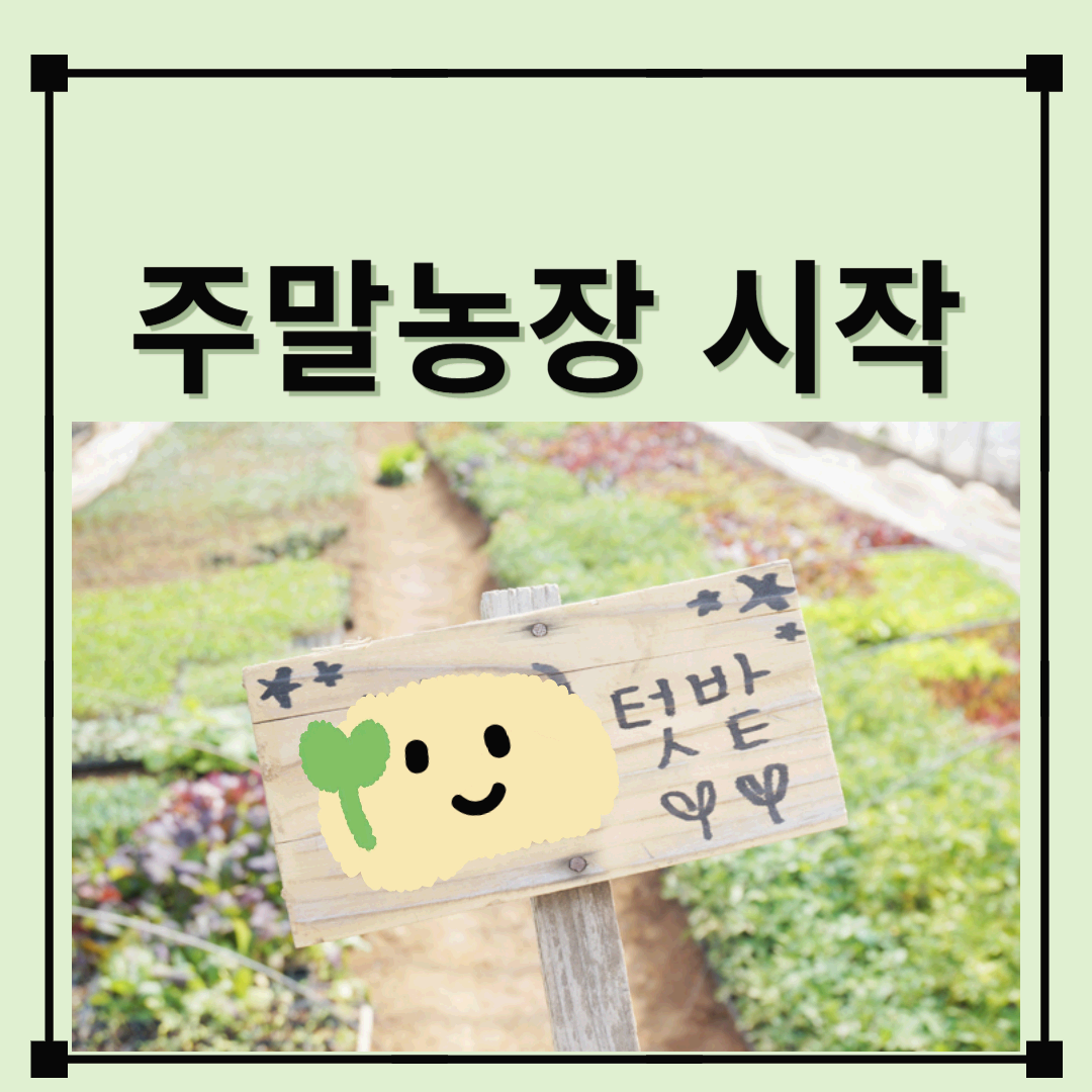 주말농장 시작/ 밭갈이 거름주기, 주말농장 준비물, 주말농장 분양