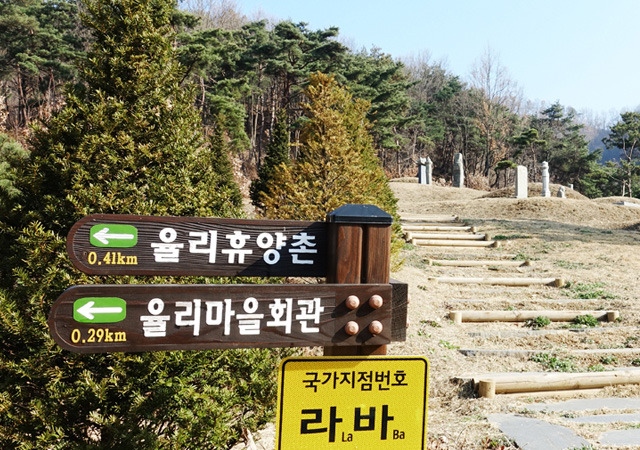 2025 증평인삼골축제&amp;#44;인삼 체험 축제