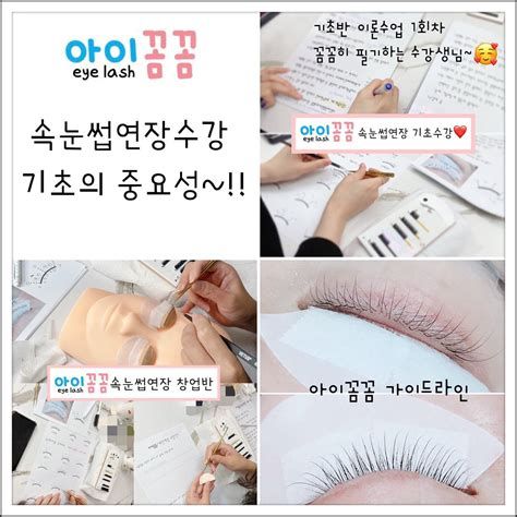 속눈썹 창업
