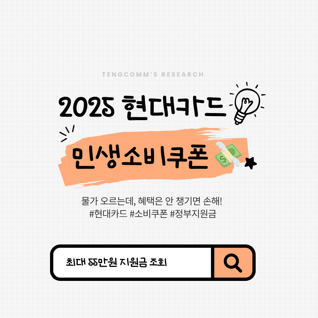 2025 현대카드 민생소비쿠폰 사진 관련.