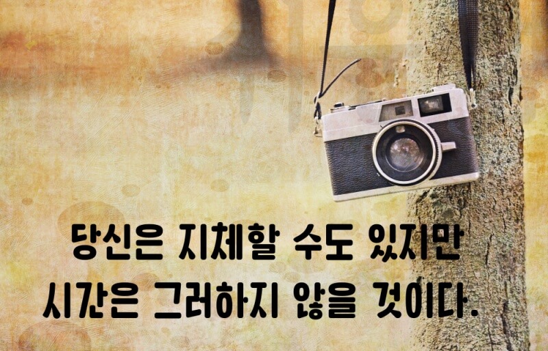 hs새마을체 예시