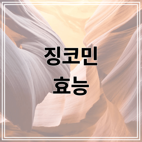 징코민 효능